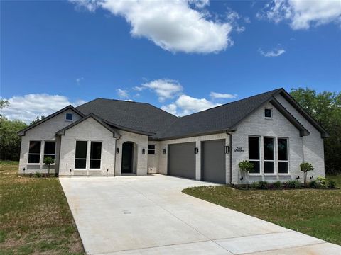23116 Greenbriar Drive Whitney TX 76692