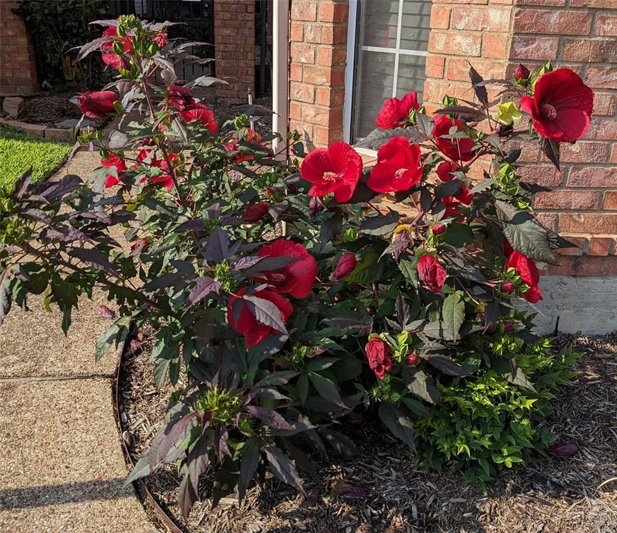 Parkway Village Sec Two - Residential