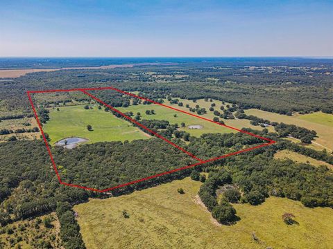 TBD County Road 1280 Lake Creek TX 75481