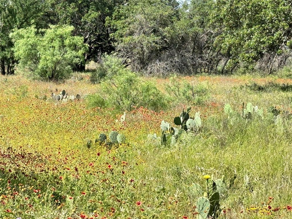 Kings Point Cove - Land