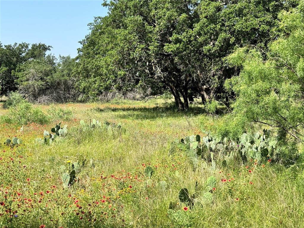 Kings Point Cove - Land