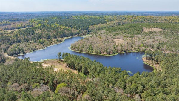 3400 COUNTY RD 1240, LINDEN, TX 75563 - Image b3ff27fef2707f9f914caa41c9425dec/334102769