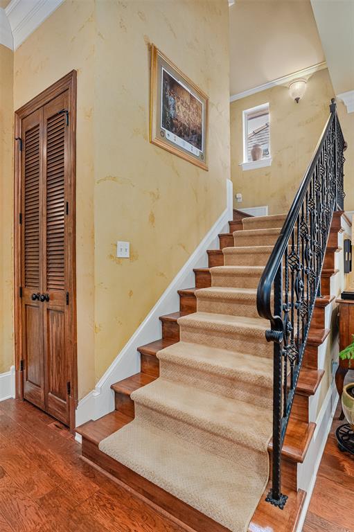 Oak Alley - Residential