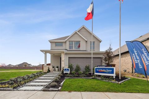 221 Texas Red Lane Little Elm TX 75068