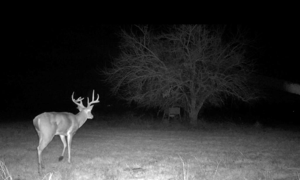 S WALKER SURVEY - Residential