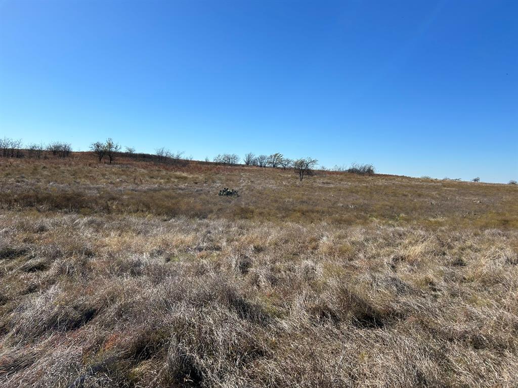 Cougar Mountain Estates Ph 1 - Land