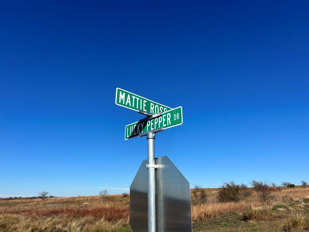 Cougar Mountain Estates Ph 1 - Land