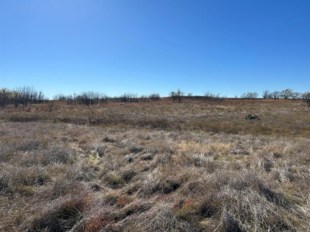 Cougar Mountain Estates Ph 1 - Land