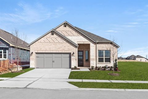 3209 Agnew Street Celina TX 75009