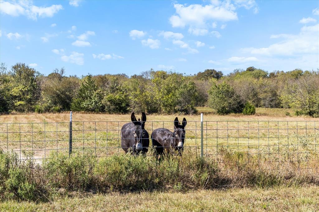 farris issac trac - Residential