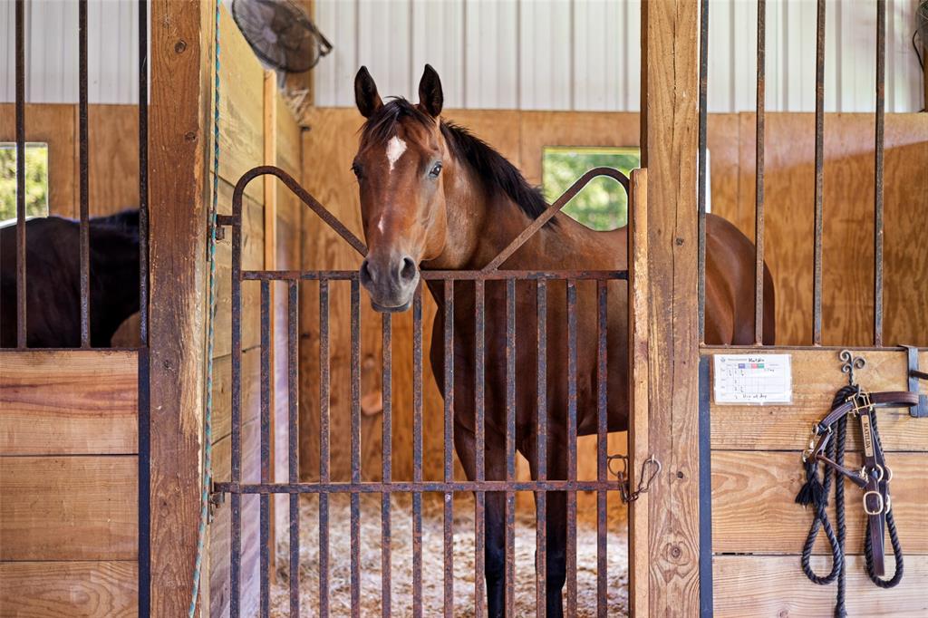 ABST A0376 C GARRETT - Farm