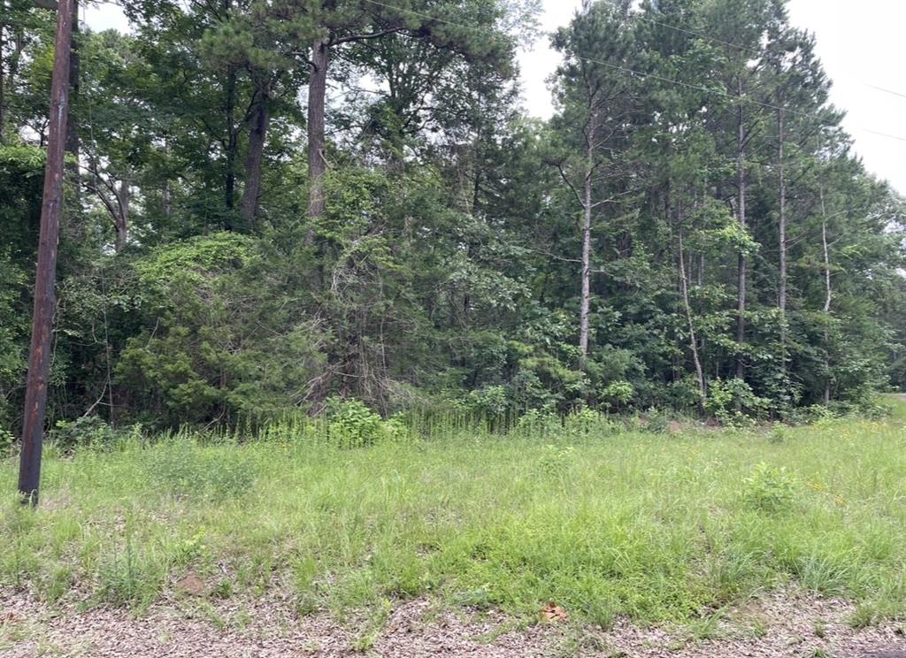 1688 County Road 1597