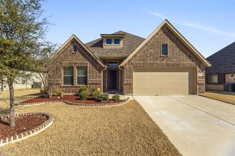 115 Aucuba Lane Waxahachie TX 75165