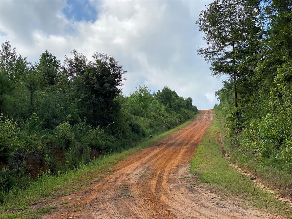 TBD County Road 394