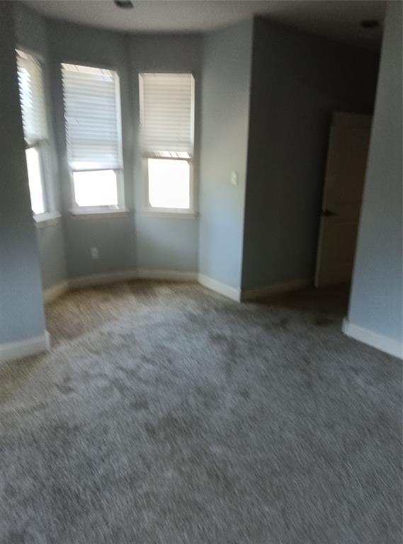 401 Pine Lane