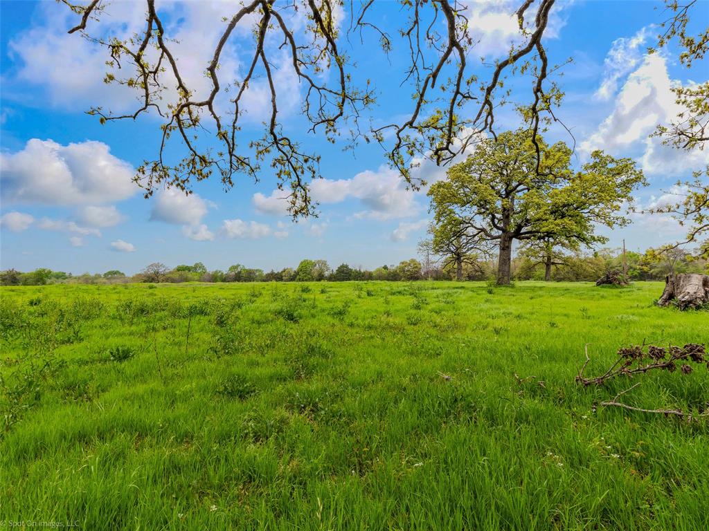 Terrell Rev - Commercial Sale