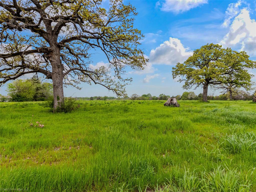 Terrell Rev - Commercial Sale