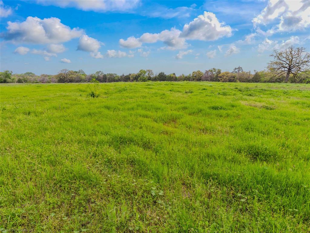 Terrell Rev - Commercial Sale