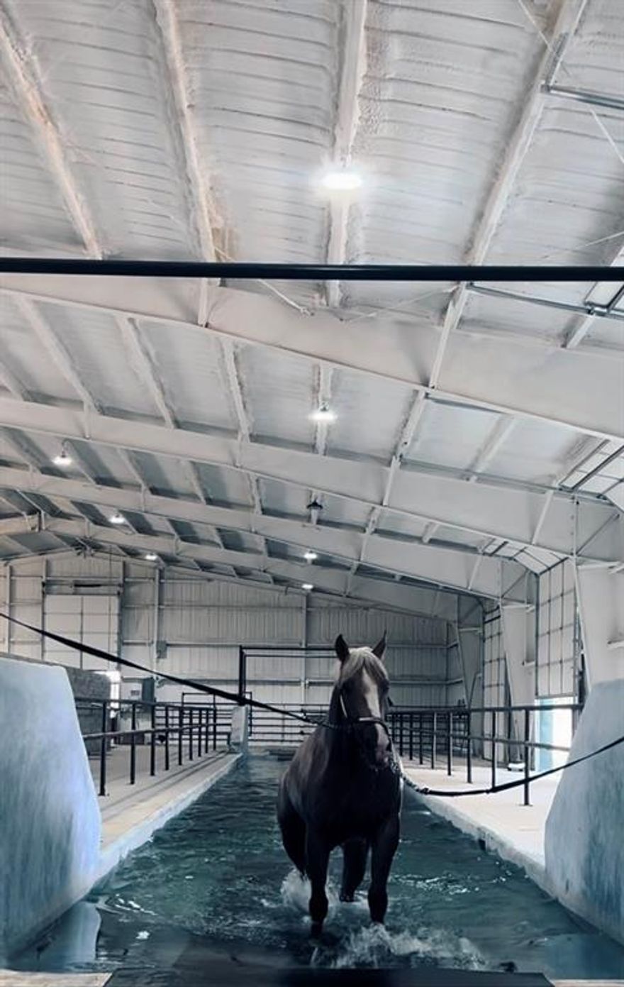 Lightning Bar Ranch – Premier Equestrian Facility Minutes from Downtown Stephenville

Welcome to Lightning Bar Ranch, a premier turn-key horse property nestled just minutes from the heart of Stephenville, TX — the Cowboy Capital of the World. Designed with the serious competitor in mind, this exceptional ranch offers world-class training amenities alongside ranch-style comfort and convenience.

At the heart of the property is a 175' x 250' covered arena, ideal for barrel racing, team roping, calf roping, and more — fully equipped with a calf lane, catch pen, and chute for smooth practice or events. A 20-stall barn anchors the horse facilities, featuring two tack and feed rooms — one complete with a rotating saddle wall, the other plumbed and ready to convert into a cozy apartment. There's even room to expand with additional stalls or add turnouts.

The ranch also includes:
• (2) tanks providing water and serene views
• Numerous turnout pens for flexibility and horse management
• A massive 8,800 sq ft building featuring:
• 110 ft swim lane for conditioning
• 10 custom stalls
• Office, laundry, and full bathroom
• Covered custom Wildfire Walker for high-level training

Supporting operations is a 40’ x 80’ machine shed for equipment, feed, and storage, plus a charming one-bedroom cottage — perfect for guests, staff, or rental income.

Whether you’re training champions or simply looking for a private horse haven, Lightning Bar Ranch delivers elite infrastructure in a prime location with no compromises.

Pro forma revenue available upon request.