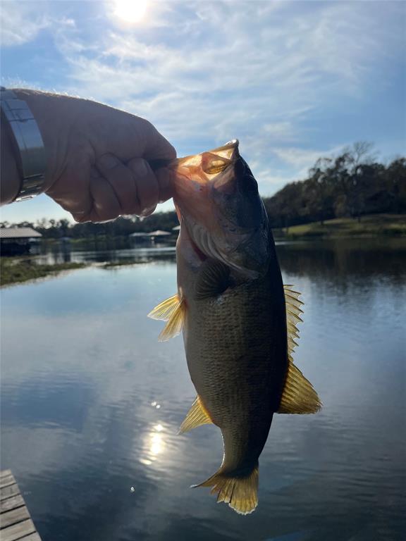 Lake Athens - Residential
