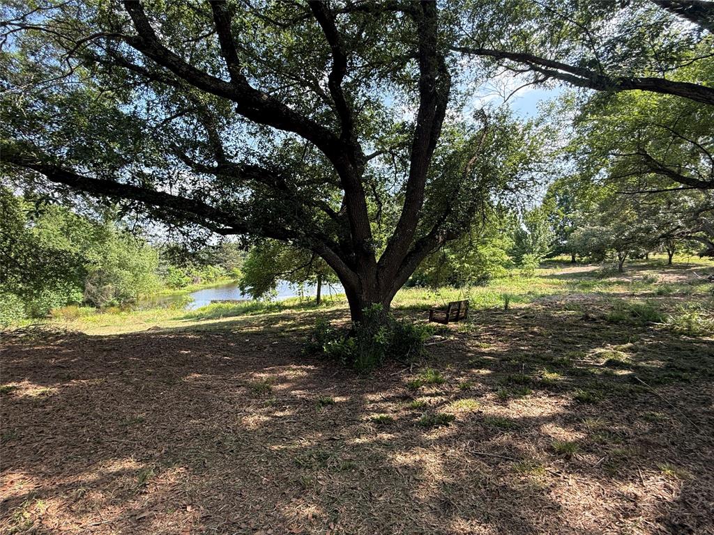 C E Rivers Surv Abs #495 - Residential