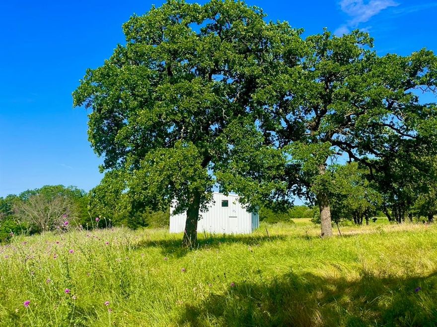 Lot 55 & 56, a sprawling 4.3acre gem nestled within Sarra Ranch Estates, emerges as a standout amidst its serene surroundings.This premier property boasts a 29x24 metal building complete with power and a convenient bathroom, ideal for storing your treasures or pursuing creative endeavors. A graceful treelined driveway welcomes you home, while scattered oak trees throughout the lot enhance its natural allure. With the added convenience of an existing water well, envisioning and creating your dream home is made effortlessly feasible.Sarra Ranch offers more than just space; it promises a sanctuary of seclusion and privacy in a tranquil countryside setting. Despite its peaceful ambiance, the community remains conveniently connected, just a brief 45minute drive to Fort Worth. Enjoy the modern comforts of paved roads, underground power, and fiber internet, all within a community that embraces freedom from HOA restrictions.Embrace the opportunity to build a life of serenity at Sarra Ranch