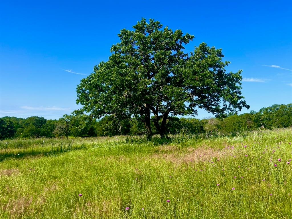 Sarra Ranch Estates - Land
