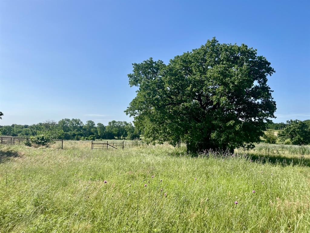 Sarra Ranch Estates - Land