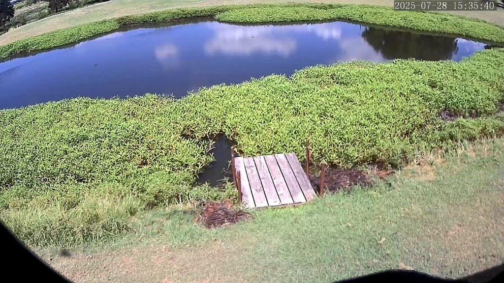 Harry L Douglas Surv Abs #368 - Land