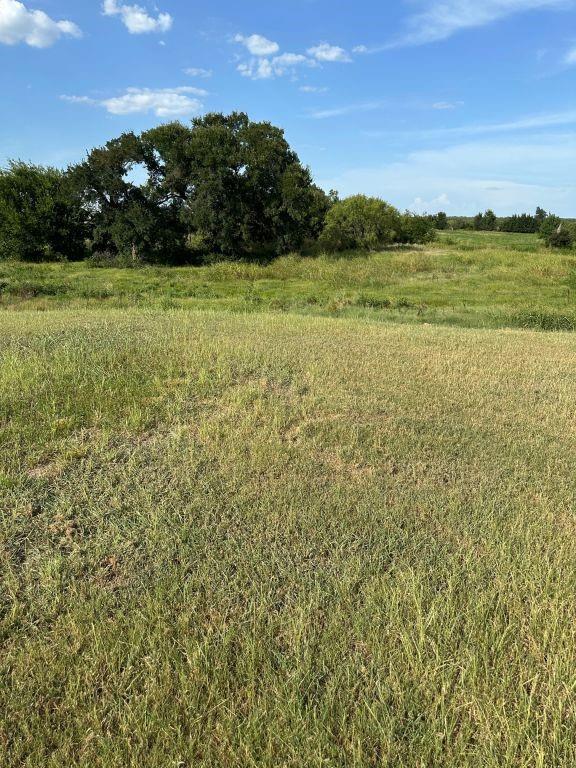 Harry L Douglas Surv Abs #368 - Land