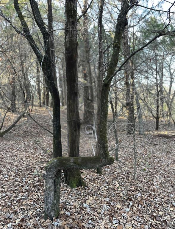 Palisades Add Ph II - Land