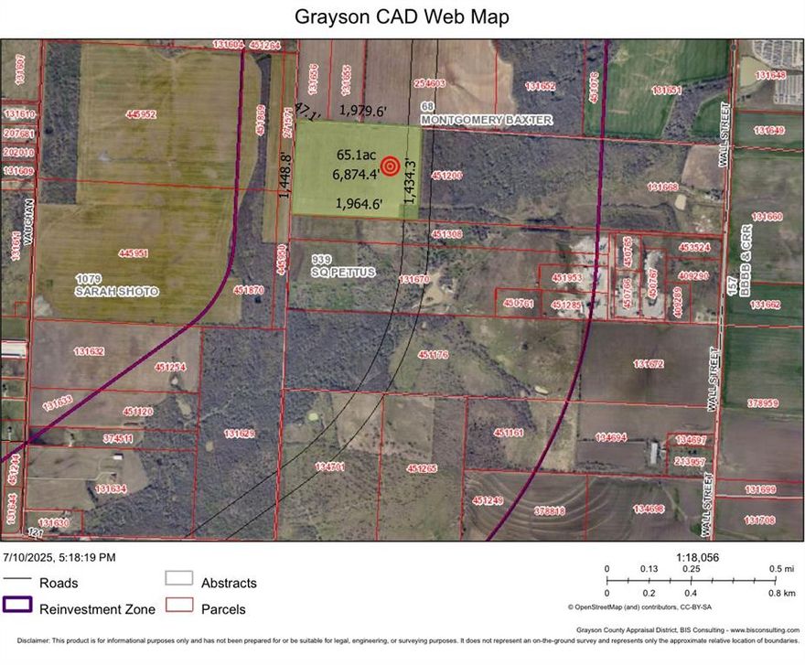 65 Acres on the preferred projected Grayson County Tollway, a planned expansion of the Dallas North Tollway. This tract is right in the heart of North Texas' expansive growth offering great investment potential for multiple types of development, including commercial, residential or industrial uses.  Only 20 miles to Texas Instruments, GlobalWafers, Coherent, and other industries in and around Sherman's Progress Park, the area is a multi-billion dollar hub for semiconductor technology.  Temporary road easement will be offered until planned Grayson County minor arterials are complete, or a dedicated 60 ft. road may be purchased at $114,000 per acre linking Wall Street Road to the property.  This tract is located in the Gunter, TX ETJ.  The City of Gunter and Grayson County should be consulted for all planned use.