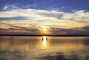 White Bluff #15 - Land