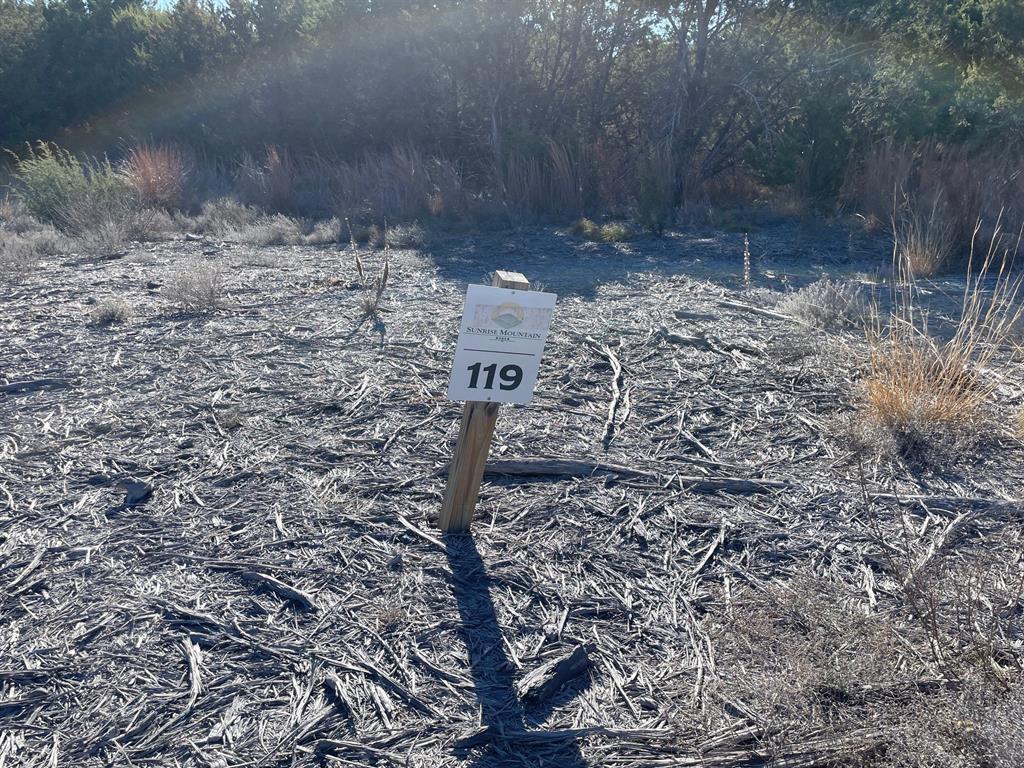 TBD Lot 119 Mesa Vista Drive