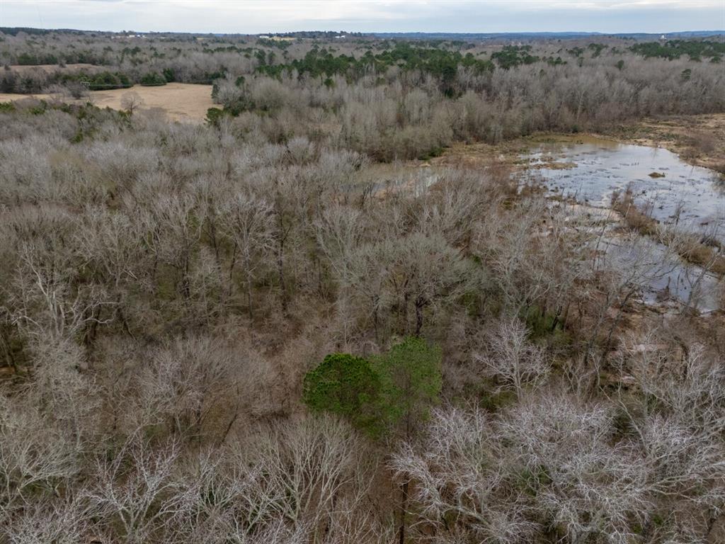 Lakewood - Bisd - Land