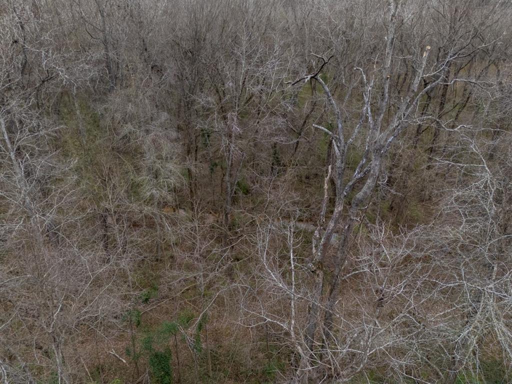 Lakewood - Bisd - Land