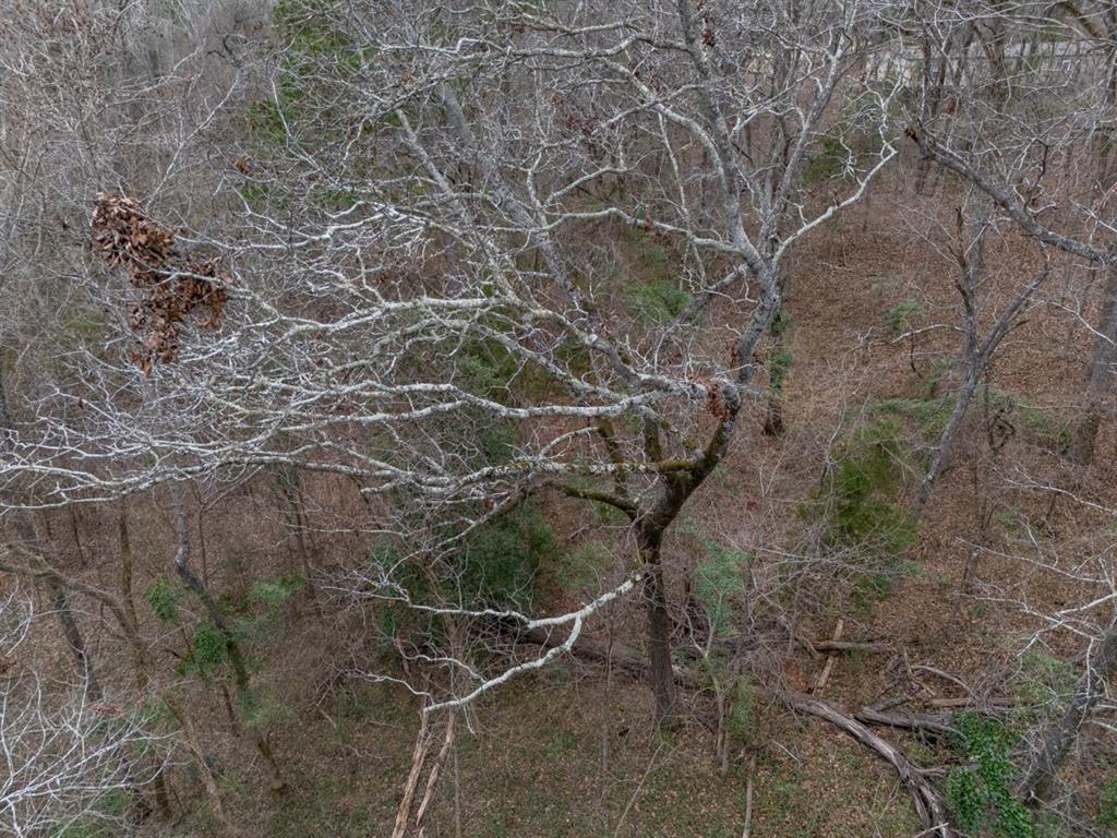 Lakewood - Bisd - Land