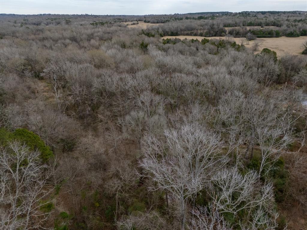 Lakewood - Bisd - Land