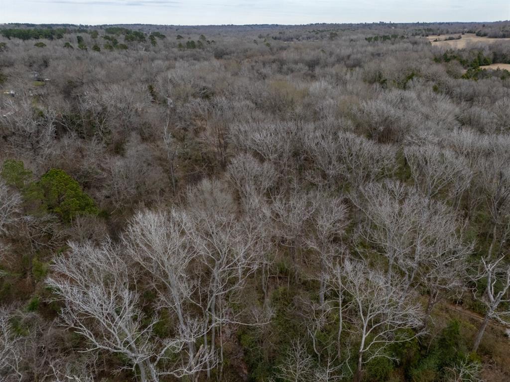 Lakewood - Bisd - Land