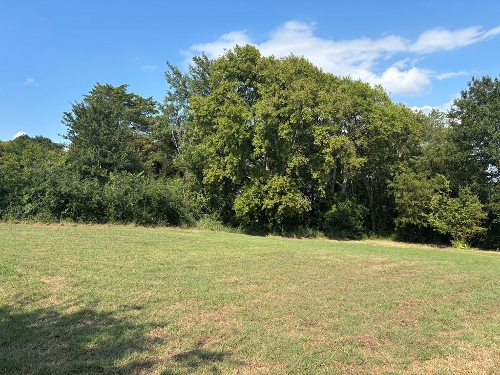 1429 Oak Hill Drive
