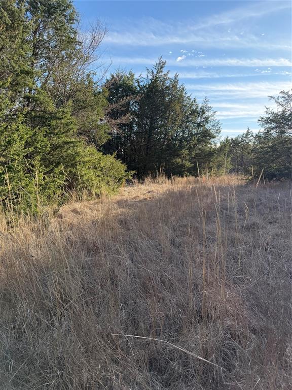 ABS A10671 W REED - Farm