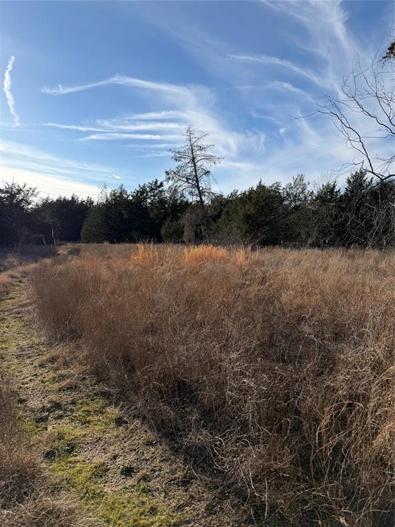 ABS A10671 W REED - Farm