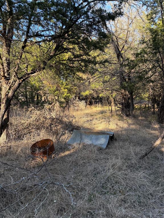 ABS A10671 W REED - Farm