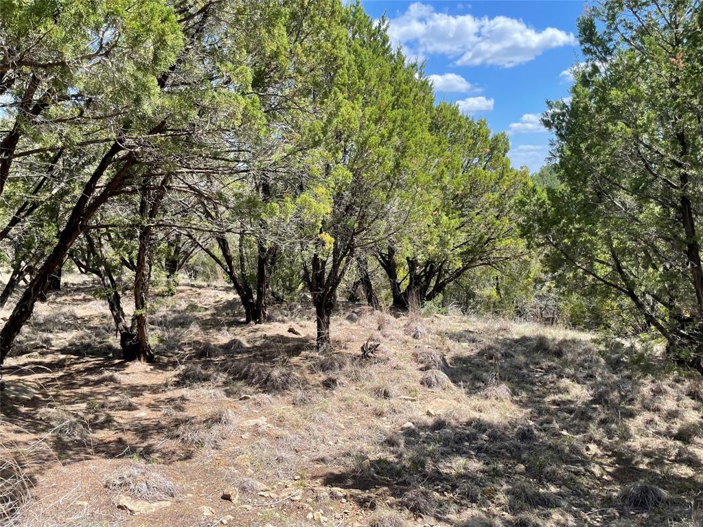 Hills Possum Kingdom Lake Ph3 S5 - Land