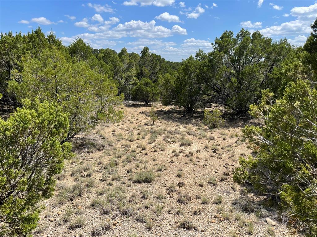 Hills Possum Kingdom Lake Ph3 S5 - Land