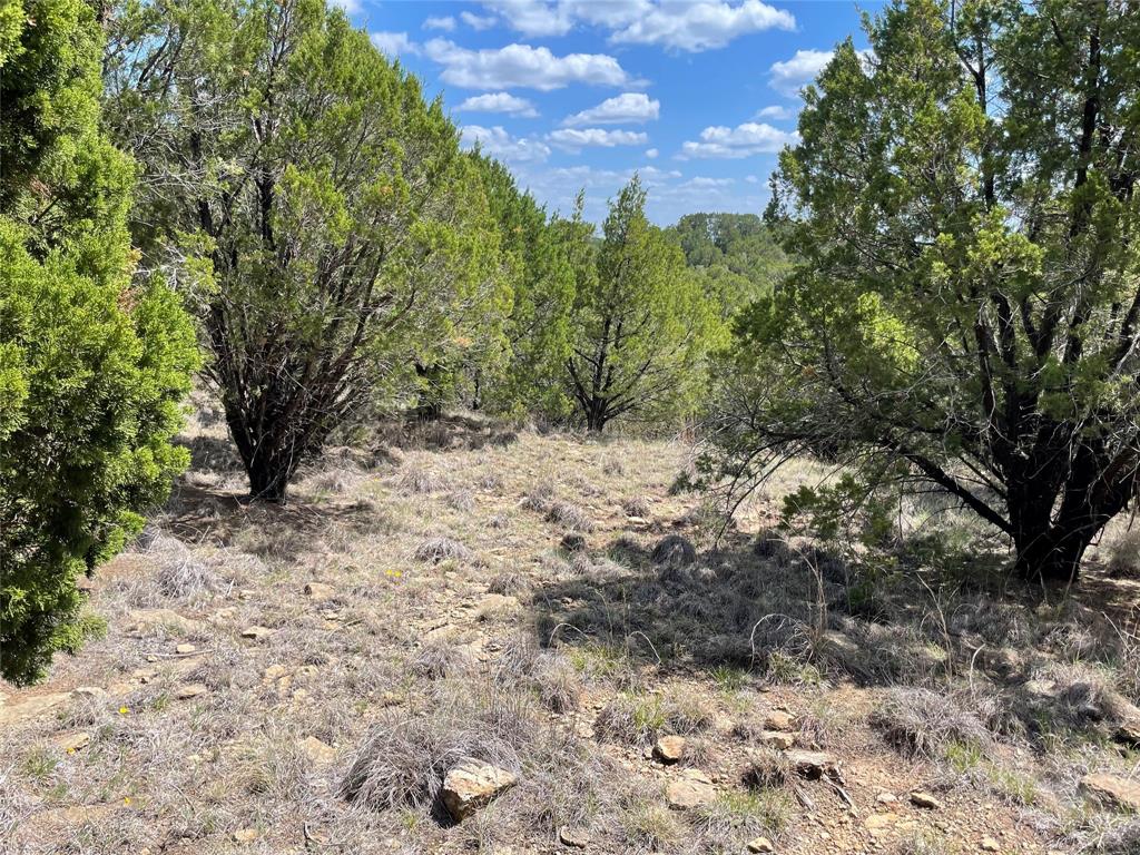 Hills Possum Kingdom Lake Ph3 S5 - Land