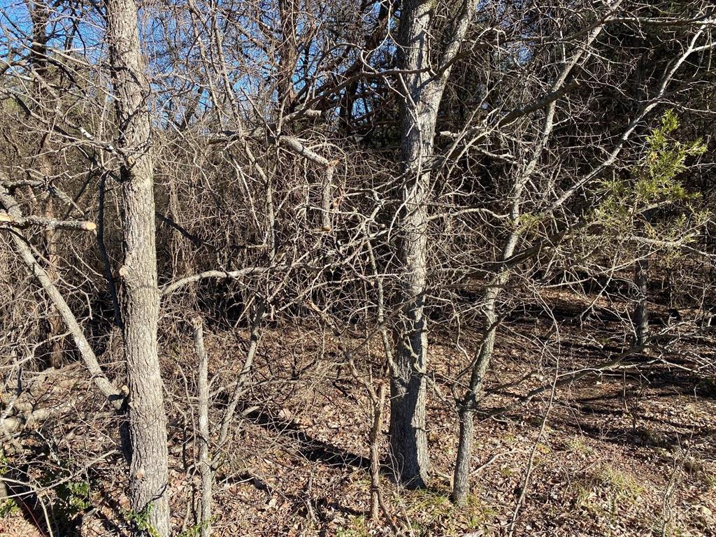 37 ac Club Lake Lane