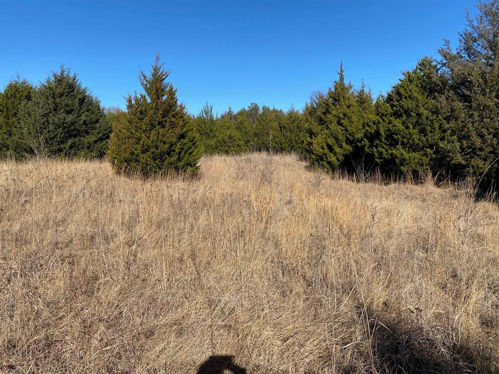 37 ac Club Lake Lane