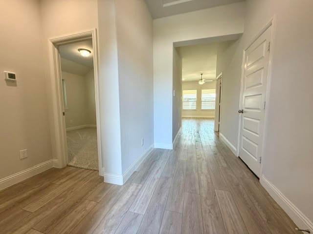 3806 Chicory Court