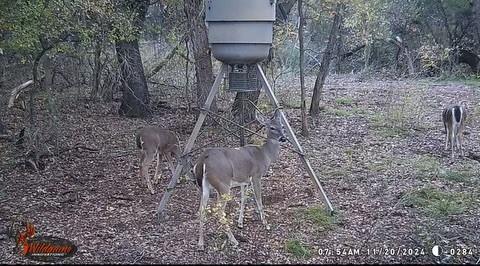 River Canyon Ranch - Land